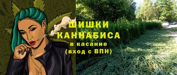 ALPHA PVP Сосновоборск