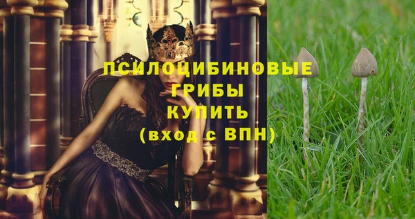 2c-b Бугульма