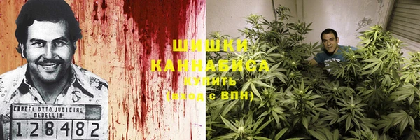 ECSTASY Бронницы