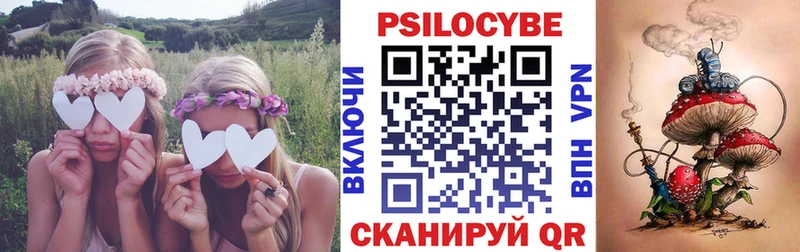 Псилоцибиновые грибы мухоморы  это как зайти  Выборг 